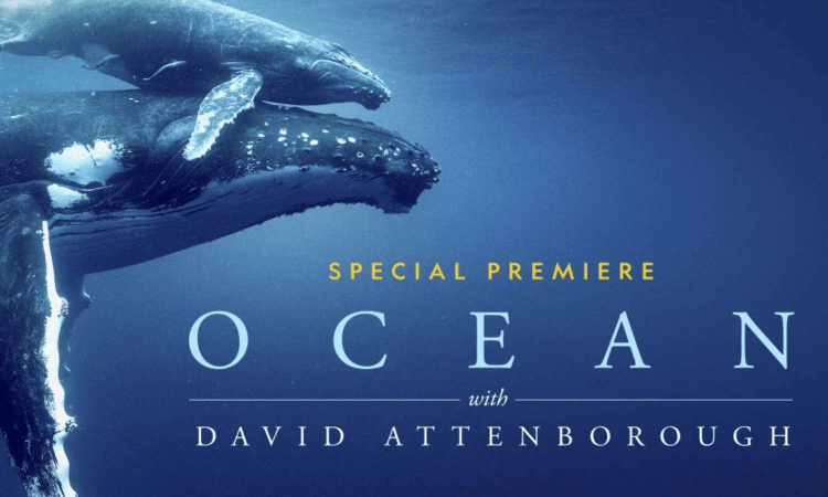 Ocean With David Attenborough (National Geographic)