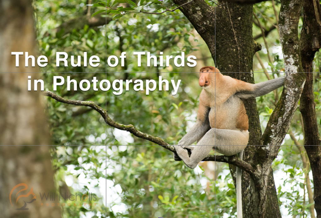 Rule of Thirds