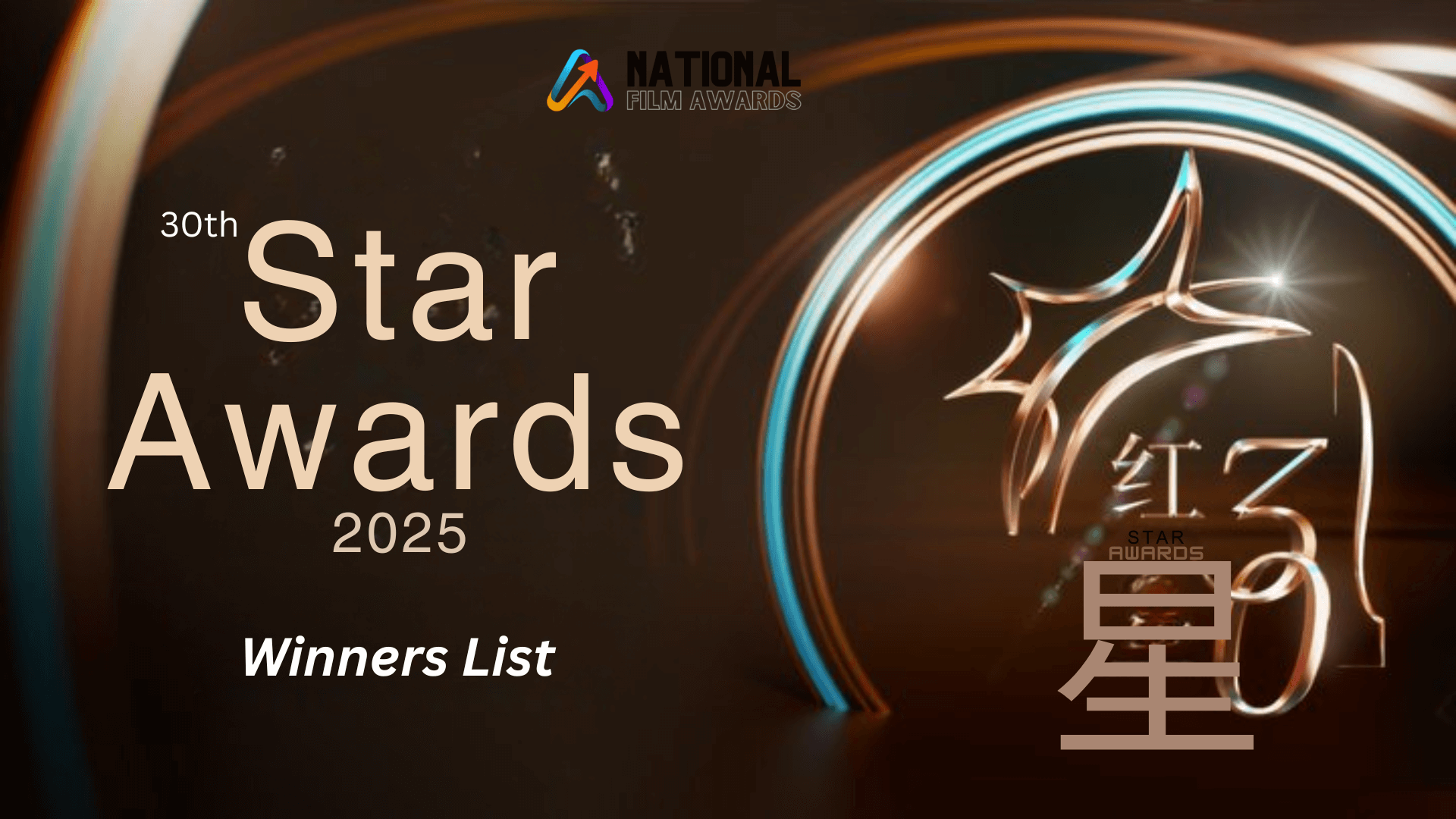 Star Awards 2025 Winners List